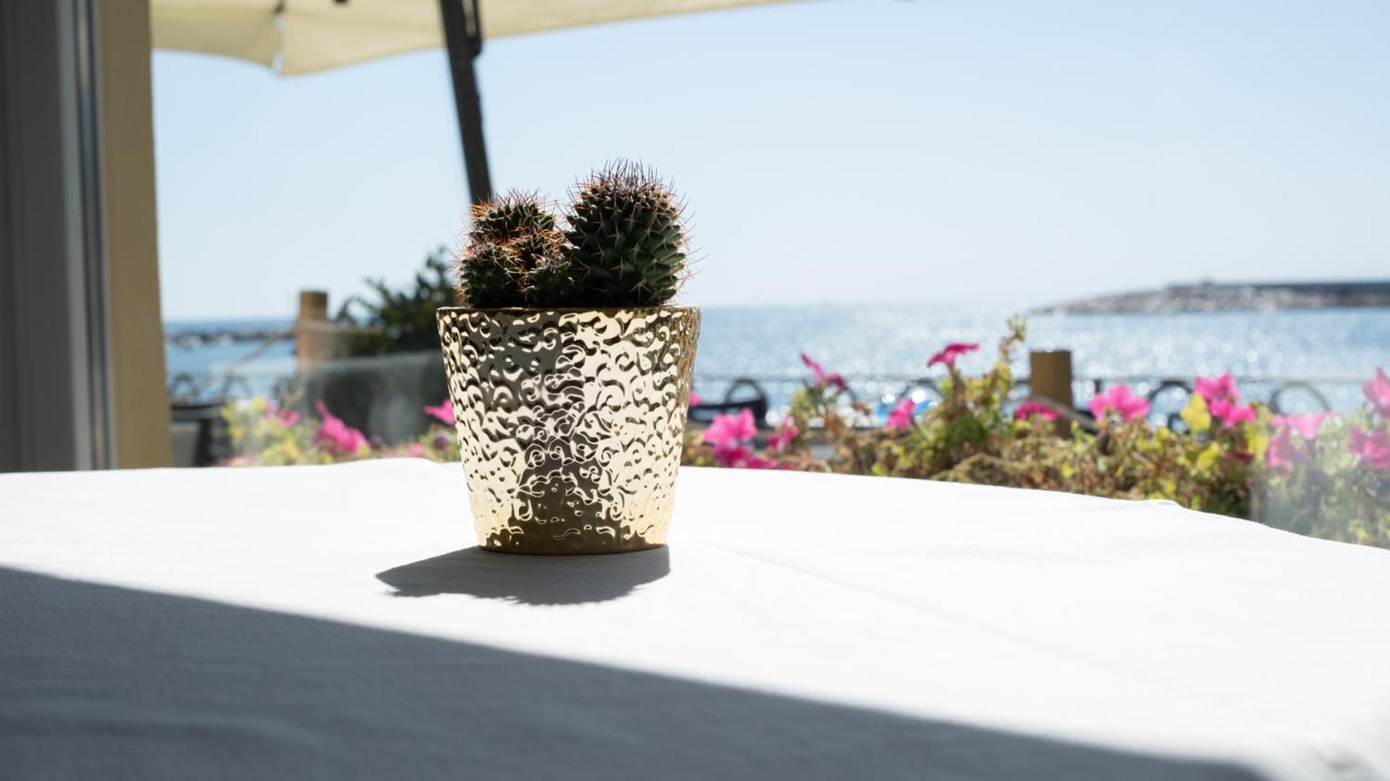 Hotel Italia E Lido Ραπάλο Εξωτερικό φωτογραφία